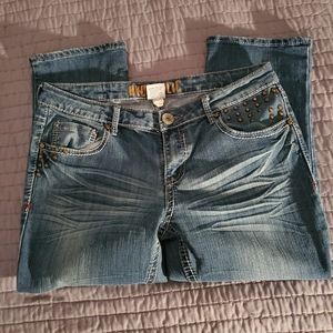 Junior's Hydraulic Cropped Jeans